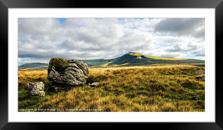 Ingleborough peak Yorkshire Dales Framed Mounted Print by Diana Mower