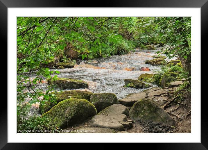 Hebden water near Hardcastle Crags Framed Mounted Print by Diana Mower