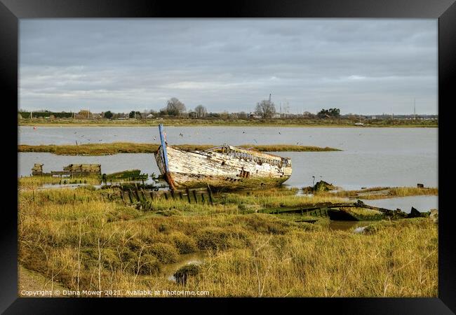 Boat wrecks Maldon Essex  Framed Print by Diana Mower