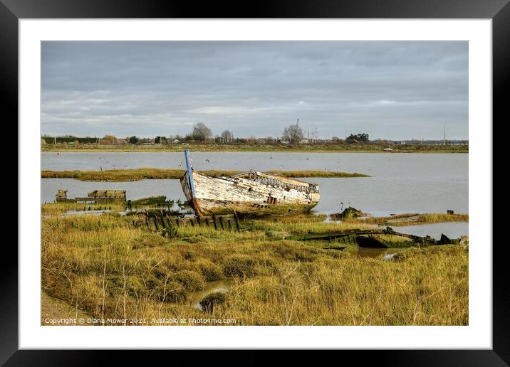 Boat wrecks Maldon Essex  Framed Mounted Print by Diana Mower