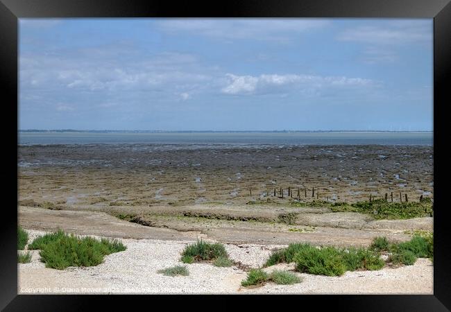 Bradwell on sea mudflats Framed Print by Diana Mower