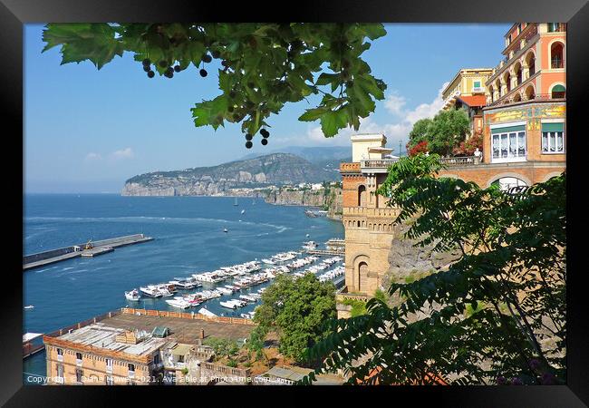 The Port of Sorrento from the Piazza Tasso Framed Print by Diana Mower