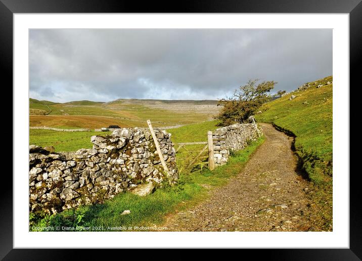 Yorkshire Dales footpath View Framed Mounted Print by Diana Mower