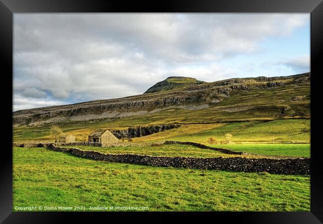 Ingleborough peak Yorkshire Dales  Framed Print by Diana Mower