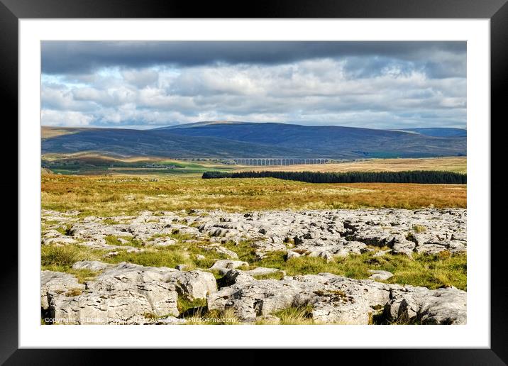 Ribblehead From Twistleton Scar Framed Mounted Print by Diana Mower