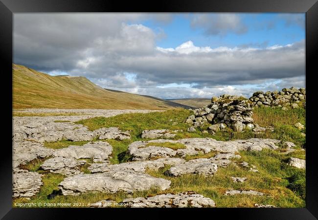 Twistleton Scar Whernside Yorkshire Framed Print by Diana Mower