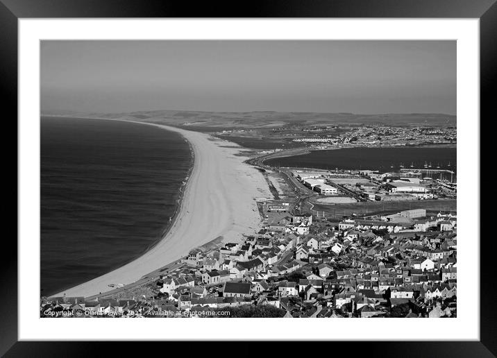 Chesil Beach Dorset in Monochrome Framed Mounted Print by Diana Mower