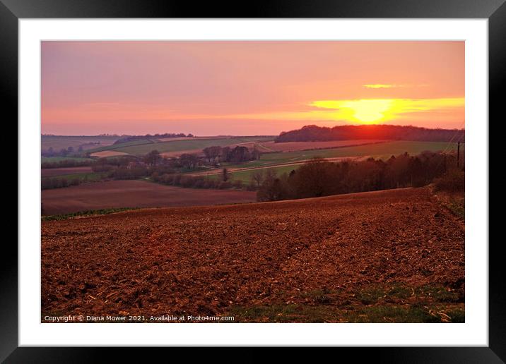 Lincolnshire Wolds Sunset Framed Mounted Print by Diana Mower