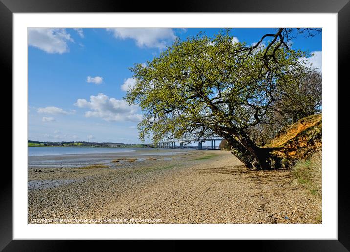  Low tide River Orwell Suffolk Framed Mounted Print by Diana Mower