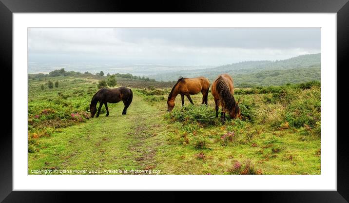 Quantock Hills Horses Somerset Panoramic Framed Mounted Print by Diana Mower