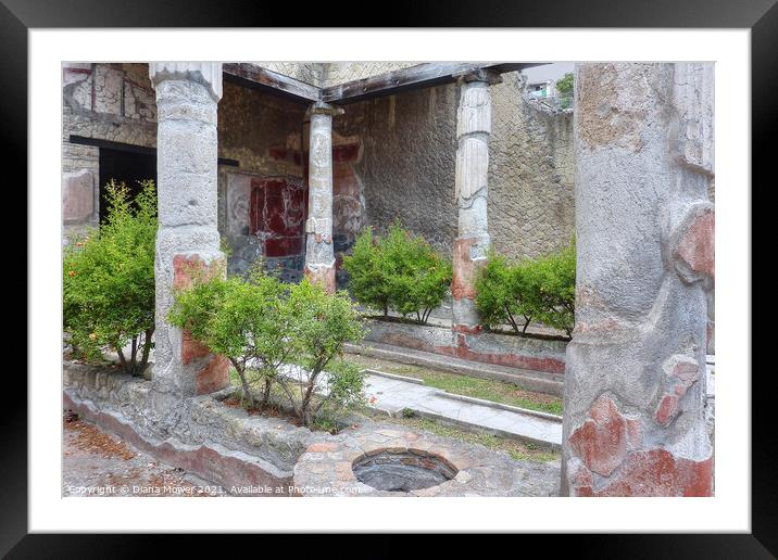 Herculaneum Courtyard garden Italy Framed Mounted Print by Diana Mower