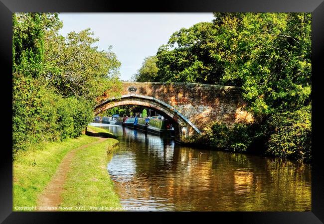 Princefield Bridge Penkridge Canal Staffordshire Framed Print by Diana Mower