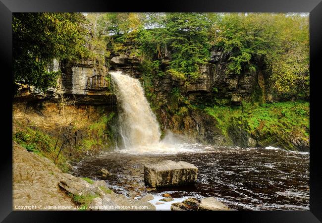 Thornton Force river Twiss  Framed Print by Diana Mower