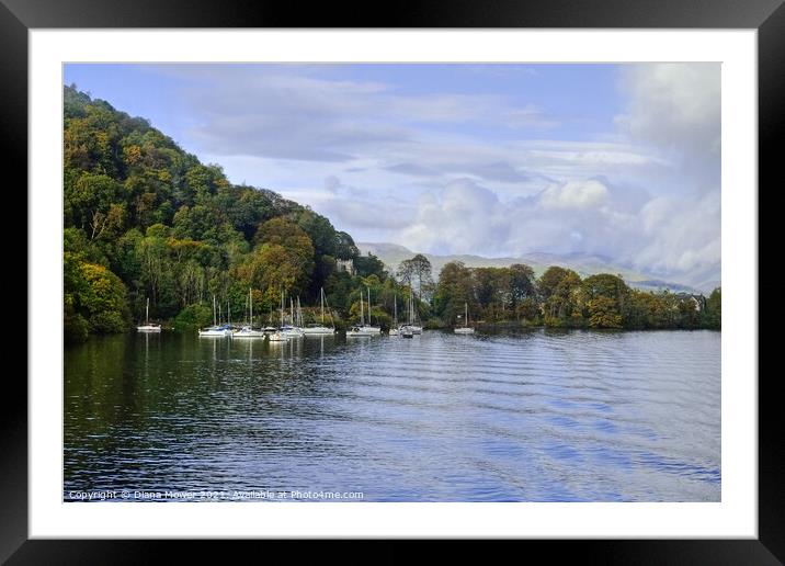 Windermere Western shore Framed Mounted Print by Diana Mower