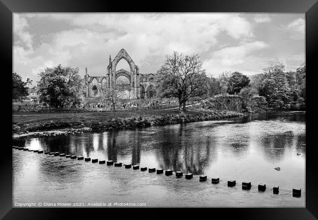 Bolton Abbey Yorkshire Monochrome Framed Print by Diana Mower