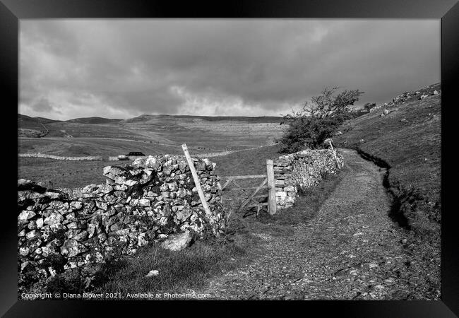 Yorkshire Dales in black and white Framed Print by Diana Mower