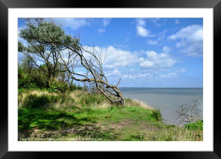Walton on the Naze Essex Framed Mounted Print by Diana Mower