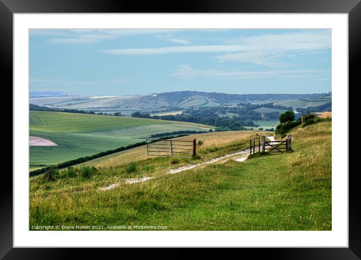 South Downs view East Sussex Framed Mounted Print by Diana Mower