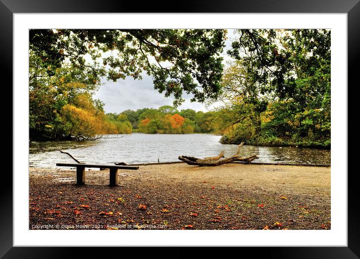 Connaught Water View Epping  Framed Mounted Print by Diana Mower