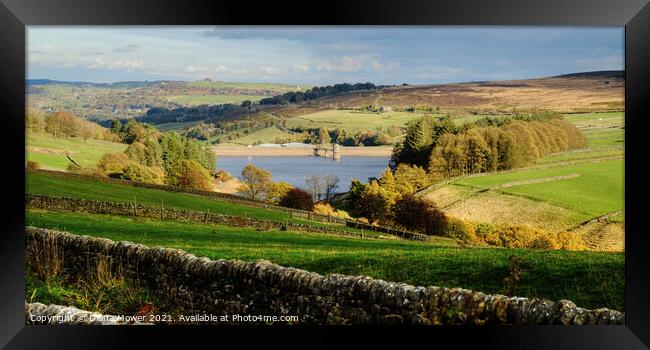 Lower Laithe Reservoir Panoramic Framed Print by Diana Mower