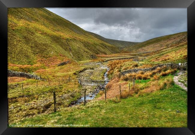 Pendle Hill Walk Lancashire Framed Print by Diana Mower