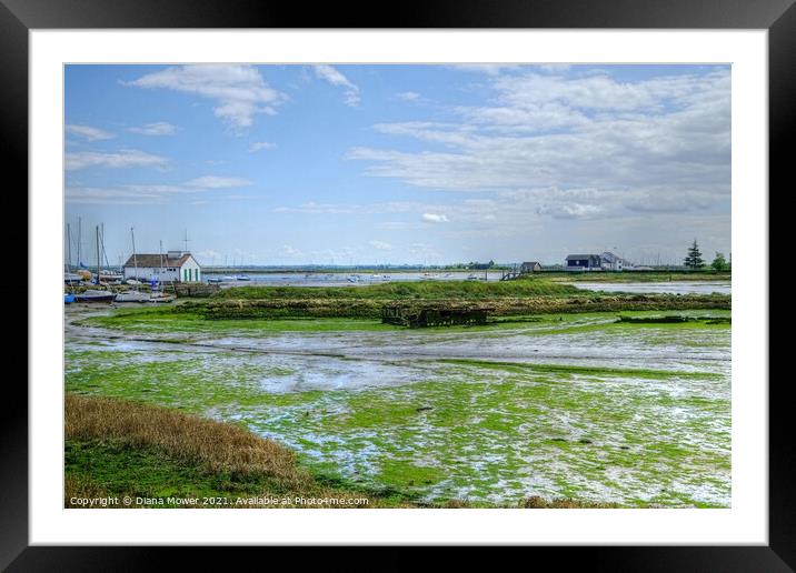 Mill beach Essex  Framed Mounted Print by Diana Mower