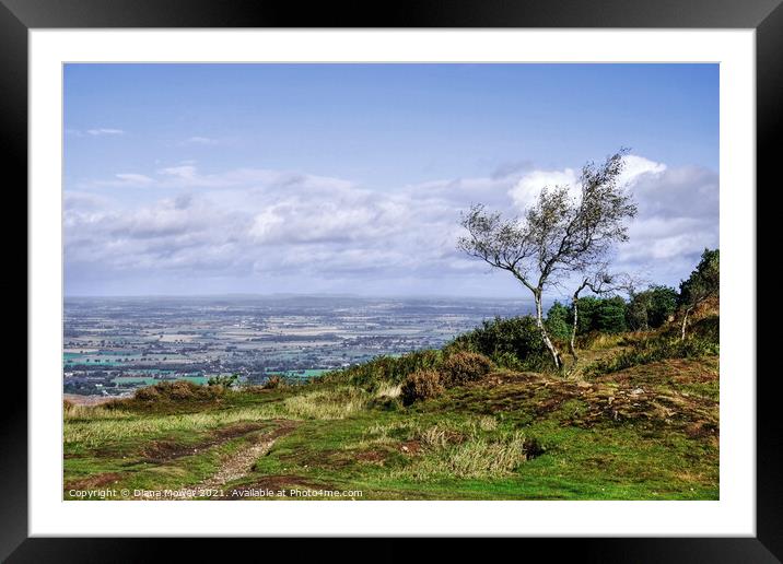 The top of the Wrekin  Shropshire Framed Mounted Print by Diana Mower
