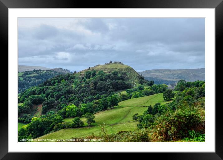 Castell Dinas Bran  Framed Mounted Print by Diana Mower