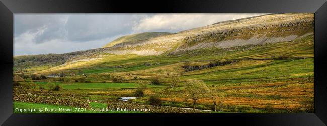 Yorkshire Dales Landscape Panoramic Framed Print by Diana Mower