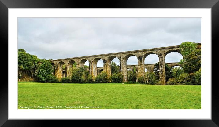  Aqueduct and Viaduct Chirk Wales Framed Mounted Print by Diana Mower