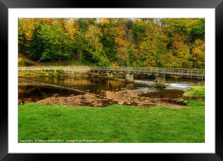 Stepping Stones and bridge at Bolton Abbey Framed Mounted Print by Diana Mower