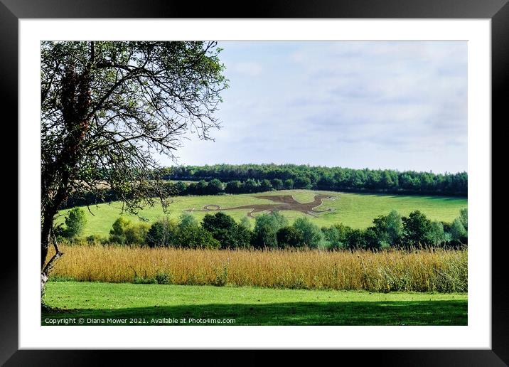 The Bures Dragon  Framed Mounted Print by Diana Mower