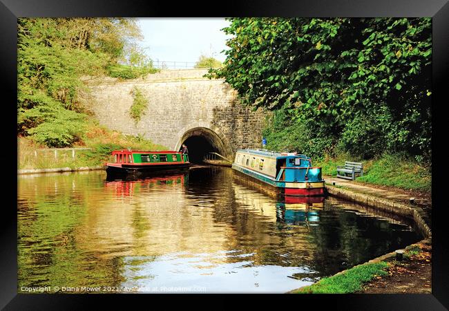 Chirk Canal Tunnel Llangollen  Framed Print by Diana Mower