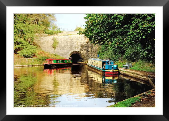 Chirk Canal Tunnel Llangollen  Framed Mounted Print by Diana Mower