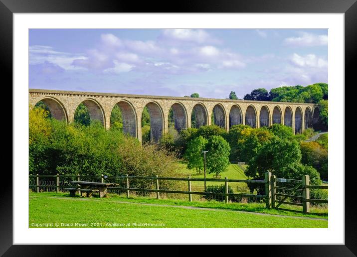 Cefn Viaduct Llangollen Framed Mounted Print by Diana Mower