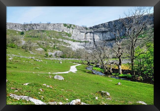  Malham Cove A landscape view Framed Print by Diana Mower