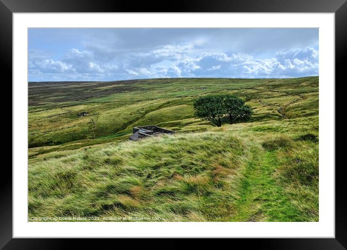Top Withens ruins Haworth Moor Yorkshire Dales  Framed Mounted Print by Diana Mower