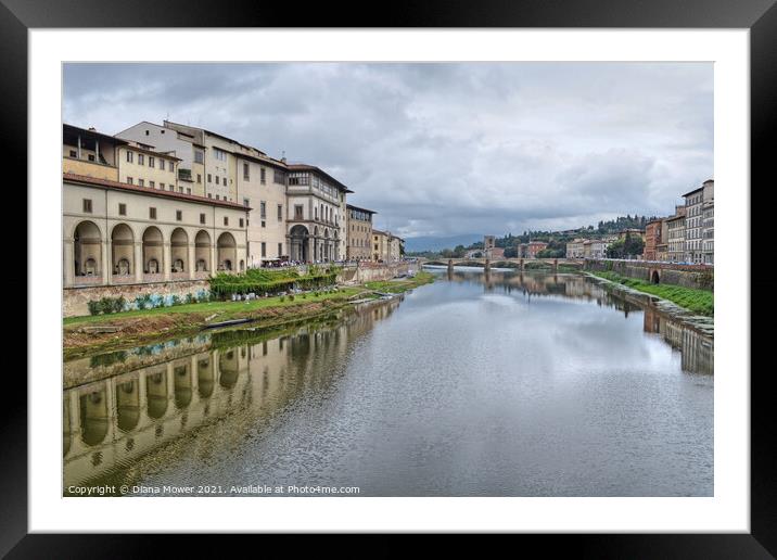 River Arno Florence View Framed Mounted Print by Diana Mower