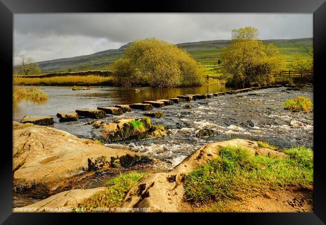 River Doe Stepping stones in the Dales Framed Print by Diana Mower