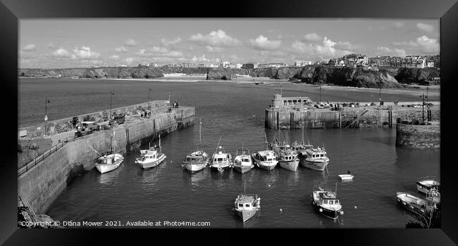 Newquay Harbour Panoramic Framed Print by Diana Mower