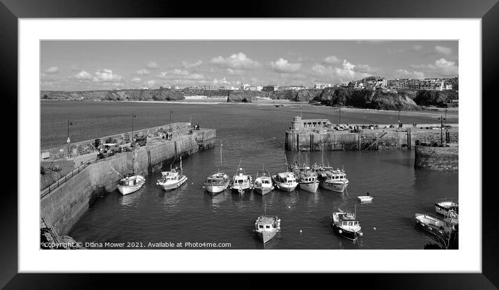 Newquay Harbour Panoramic Framed Mounted Print by Diana Mower