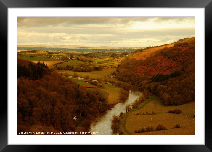 The river Wye from the rock Framed Mounted Print by Diana Mower
