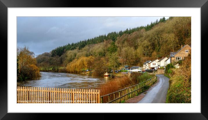 Symonds Yat panoramic view Framed Mounted Print by Diana Mower