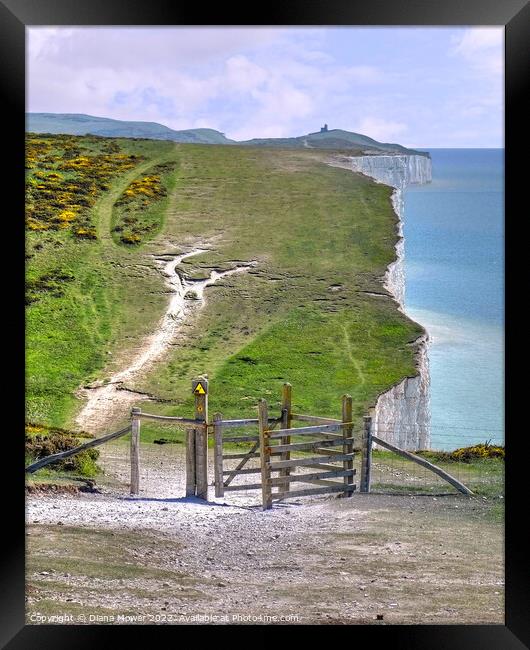 Seven Sisters Cliff Walk Framed Print by Diana Mower