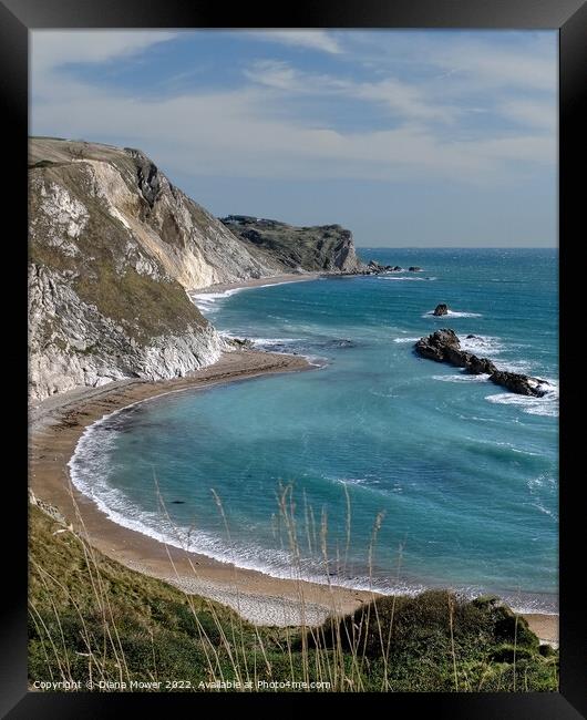 The Beach Man O' War Bay Dorset Framed Print by Diana Mower