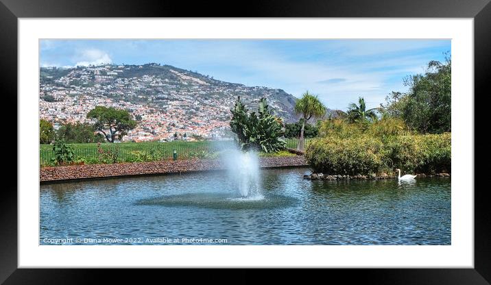 Funchal Madeira Park Panoramic Framed Mounted Print by Diana Mower