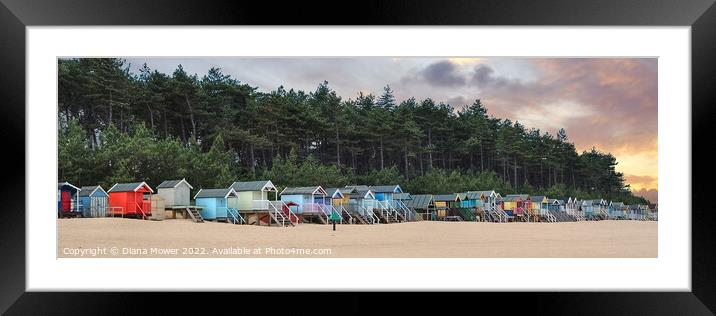 Wells beach Huts sunset panoramic Framed Mounted Print by Diana Mower