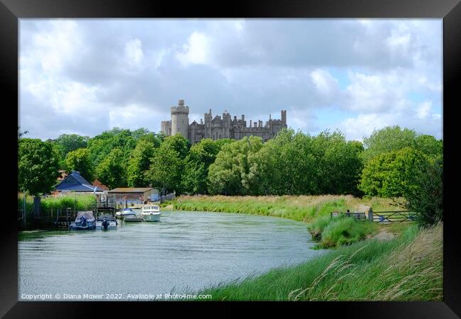 Arundel River Arun and Castle View Framed Print by Diana Mower