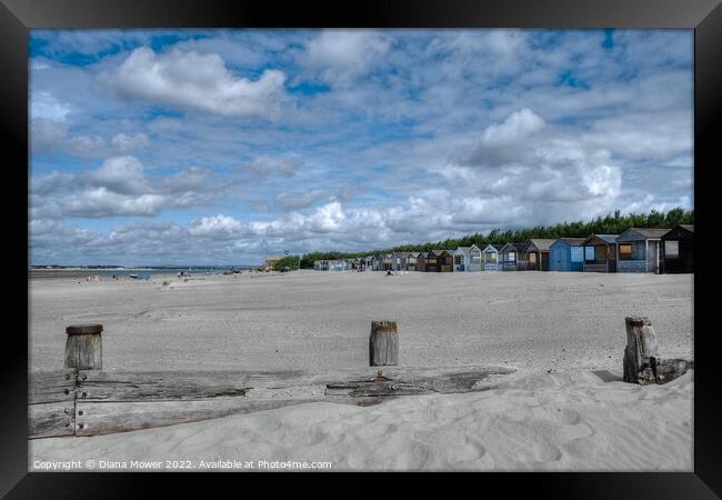 West Wittering Sandy Beach  Framed Print by Diana Mower