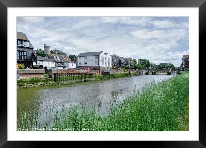 Alongside the river Arun at Arundel,West Sussex. Framed Mounted Print by Diana Mower